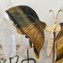 Load image into Gallery viewer, Tiger Eye Butterfly with Stand
