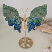 Load image into Gallery viewer, Azurite Malachite Butterfly Wings
