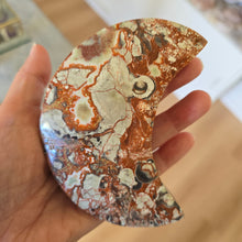 Load image into Gallery viewer, Money Agate Moon
