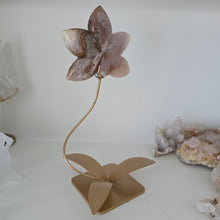 Load image into Gallery viewer, Amethyst Crazy Lace Agate Orchid
