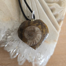 Load image into Gallery viewer, Ammonite Fossil Heart Necklace
