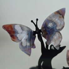 Load image into Gallery viewer, Playful Cat - 2 Butterflies
