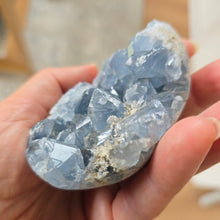 Load image into Gallery viewer, Celestite Cluster Egg
