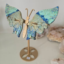 Load image into Gallery viewer, Azurite Malachite Butterfly Wings
