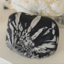 Load image into Gallery viewer, Chrysanthemum Stone Palmstone
