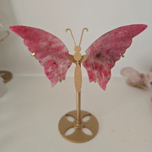 Load image into Gallery viewer, Rhodonite in Quartz Butterfly Wings

