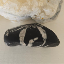 Load image into Gallery viewer, Chrysanthemum Stone Palmstone
