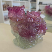 Load image into Gallery viewer, Rainbow Fluorite Owls
