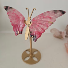 Load image into Gallery viewer, Rhodonite in Quartz Butterfly Wings
