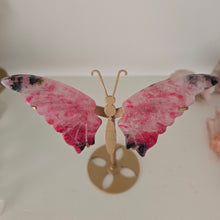 Load image into Gallery viewer, Rhodonite in Quartz Butterfly Wings
