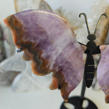 Load image into Gallery viewer, Amethyst Crazy Lace Agate Butterfly Wings
