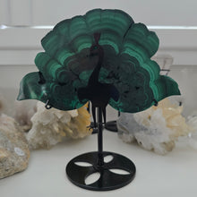 Load image into Gallery viewer, Malachite Peacock
