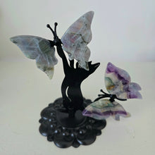 Load image into Gallery viewer, Playful Cat - 2 Butterflies
