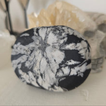 Load image into Gallery viewer, Chrysanthemum Stone Palmstone

