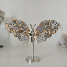 Load image into Gallery viewer, Ocean Jasper Butterfly
