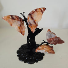 Load image into Gallery viewer, Playful Cat - 2 Butterflies

