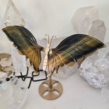 Load image into Gallery viewer, Tiger Eye Butterfly with Stand
