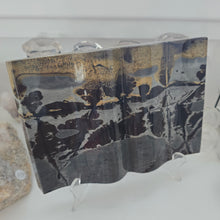 Load image into Gallery viewer, Picture Jasper Book
