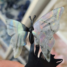 Load image into Gallery viewer, Playful Cat - 2 Butterflies
