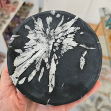 Load image into Gallery viewer, Chrysanthemum Stone Plate
