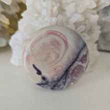 Load image into Gallery viewer, Porcelain Jasper Round Palmstone
