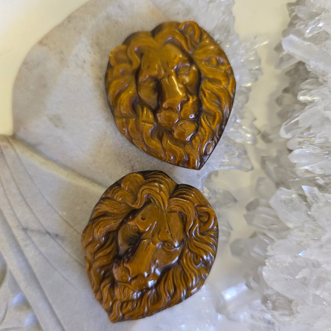 Tiger's Eye Lion Heads