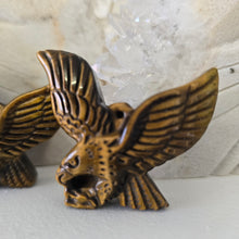 Load image into Gallery viewer, Tiger&#39;s Eye Eagle
