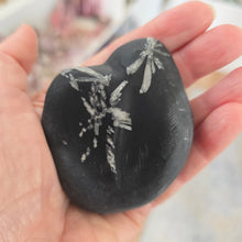 Load image into Gallery viewer, Chrysanthemum Stone Palmstone
