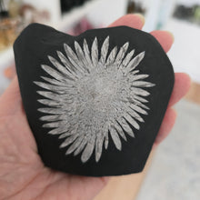 Load image into Gallery viewer, Chrysanthemum Stone Freeform
