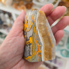 Load image into Gallery viewer, Bumblebee Jasper Freeform
