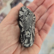 Load image into Gallery viewer, Chrysanthemum Stone Palmstone
