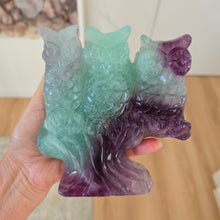 Load image into Gallery viewer, Rainbow Fluorite Owls
