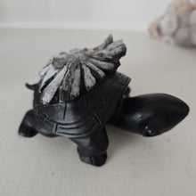 Load image into Gallery viewer, Chrysanthemum Stone Turtle
