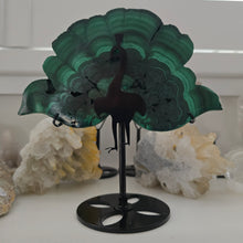 Load image into Gallery viewer, Malachite Peacock
