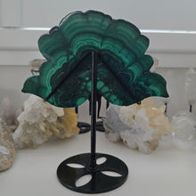 Load image into Gallery viewer, Malachite Peacock
