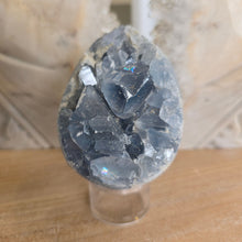 Load image into Gallery viewer, Celestite Cluster Egg
