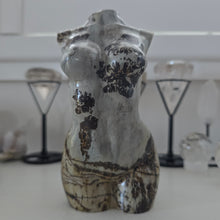 Load image into Gallery viewer, Picture Jasper Goddess Body
