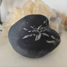 Load image into Gallery viewer, Chrysanthemum Stone Palmstone
