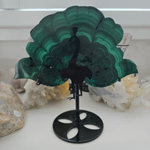 Load image into Gallery viewer, Malachite Peacock
