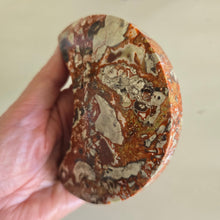 Load image into Gallery viewer, Money Agate Moon
