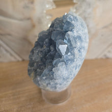 Load image into Gallery viewer, Celestite Cluster Egg
