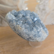 Load image into Gallery viewer, Celestite Cluster Egg
