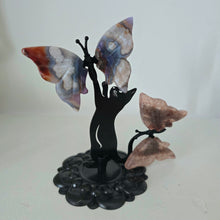 Load image into Gallery viewer, Playful Cat - 2 Butterflies
