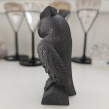 Load image into Gallery viewer, Shungite Owl
