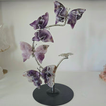 Load image into Gallery viewer, Chevron Amethyst Butterfly Set

