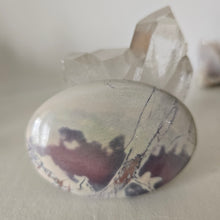 Load image into Gallery viewer, Porcelain Jasper Palmstone
