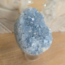 Load image into Gallery viewer, Celestite Cluster Egg

