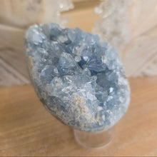 Load image into Gallery viewer, Celestite Cluster Egg
