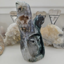 Load image into Gallery viewer, Moss Agate Owl in Tree Stump
