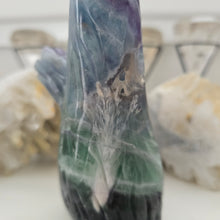 Load image into Gallery viewer, Fluorite Owl in Tree Stump
